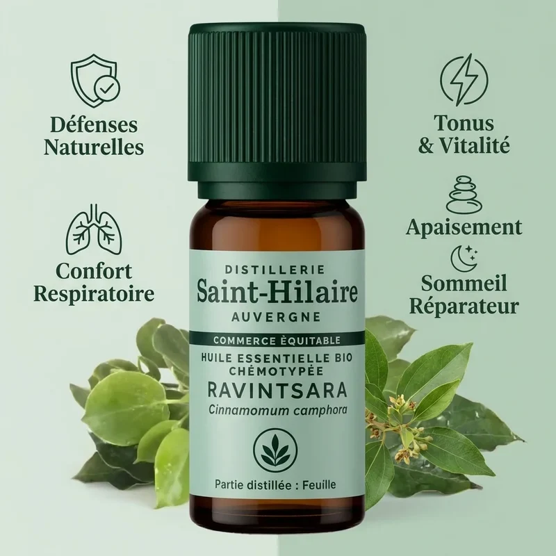 Huile Essentielle Bio de Ravintsara - Saint-Hilaire - 10 ml