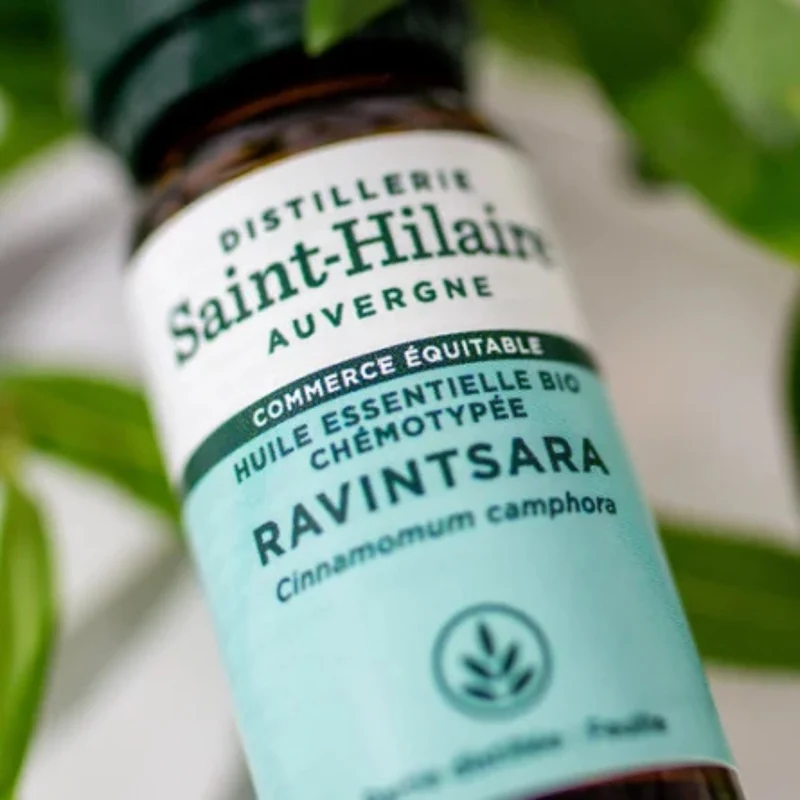 Huile Essentielle Bio de Ravintsara - Saint-Hilaire - 10 ml