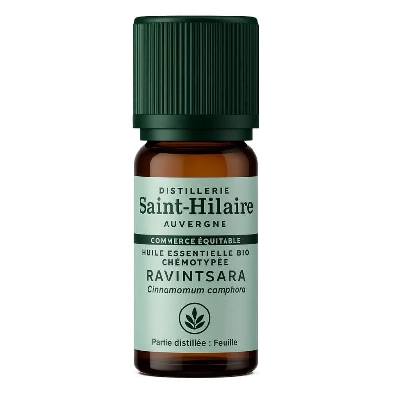 Huile Essentielle Bio de Ravintsara - Saint-Hilaire - 10 ml