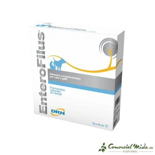 FATRO ENTEROFILUS en Ampoules