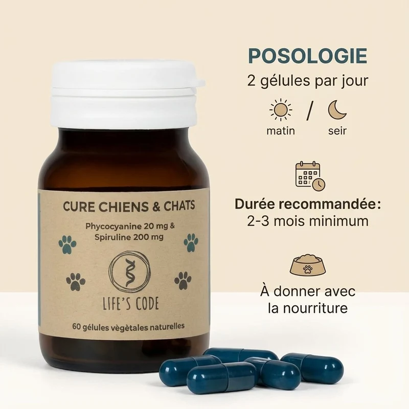 Phycocyanine & Spiruline Chien & Chat - 60 gélules – Life's Code