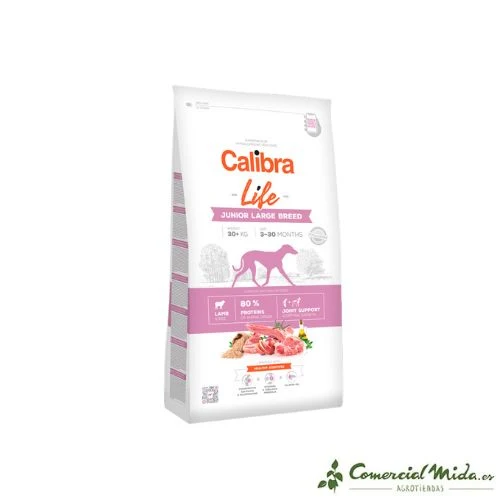 Calibra Dog Life Junior Grande Race