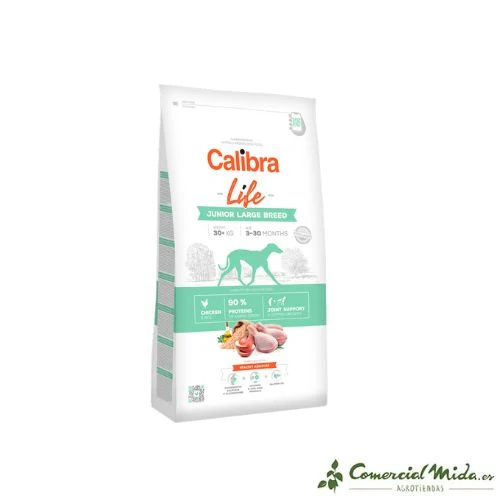 Calibra Dog Life Junior Grande Race