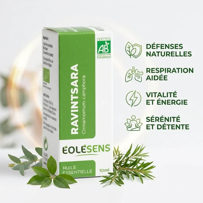Huile essentielle de Ravintsara Bio - 10ml - Eolesens