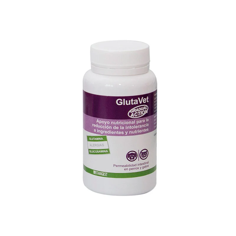 STANGEST Glutavet Protecteur gastro-intestinal