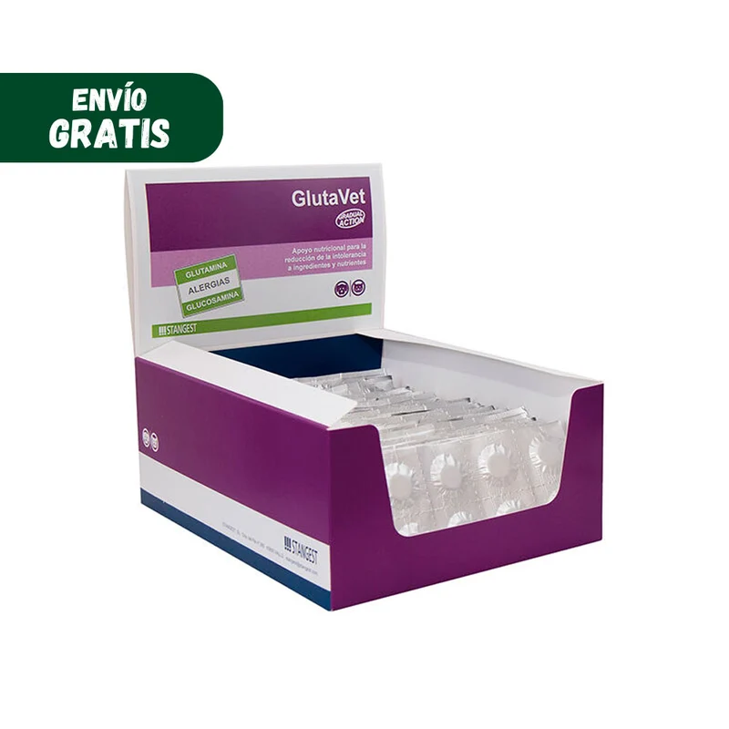 STANGEST Glutavet Protecteur gastro-intestinal
