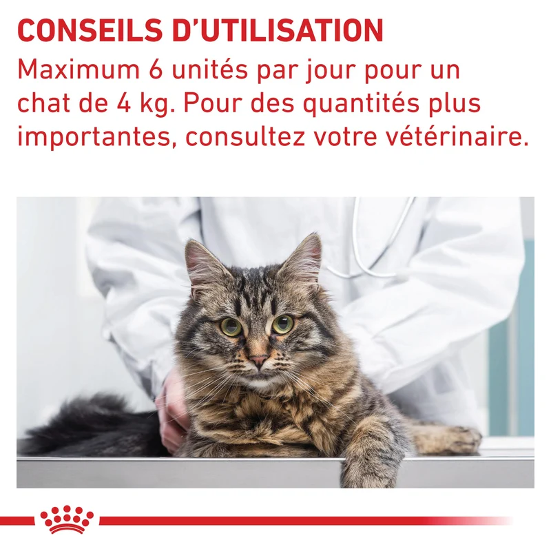 Pill Assist Cache comprimés Chat