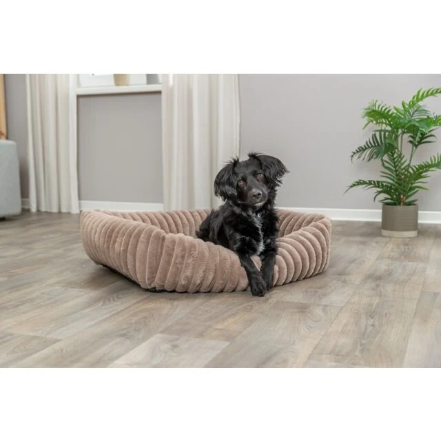 Lit Lonni brun clair chat, chien