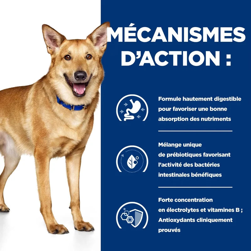 Hill's Prescription Diet I/D AB+ boîtes pour chien à la dinde - 3x360g