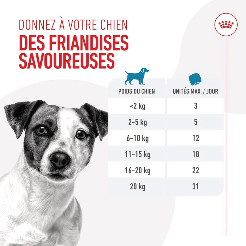 Royal Canin Training Treats chien
