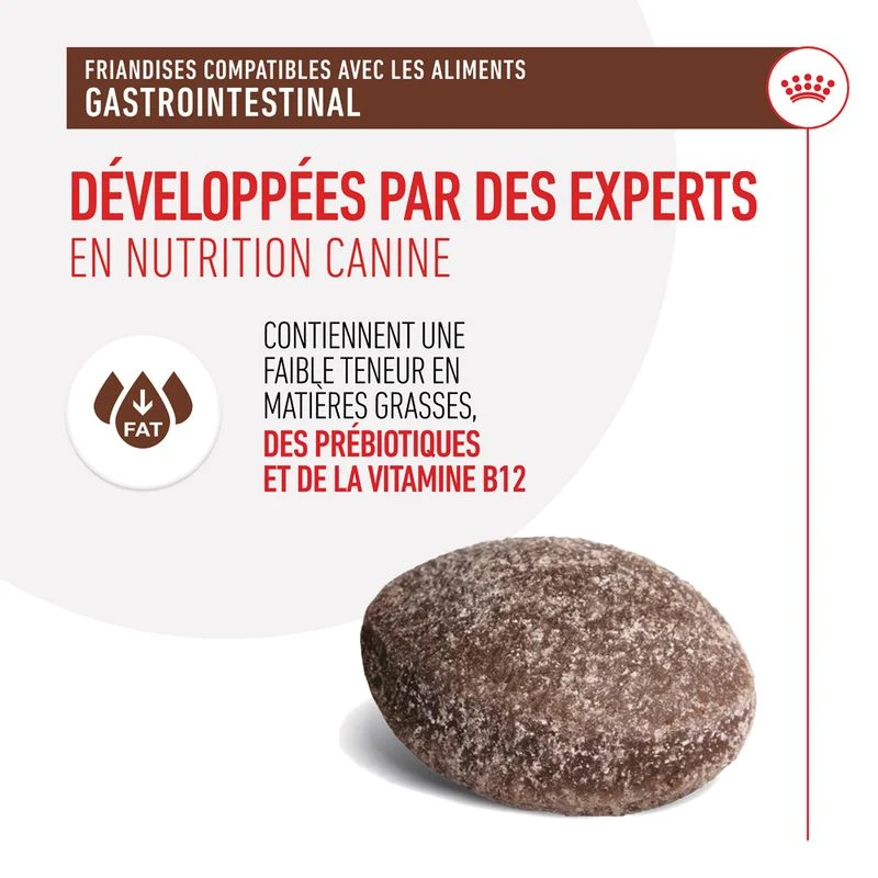 Royal Canin Gastrointestinal Treats chien