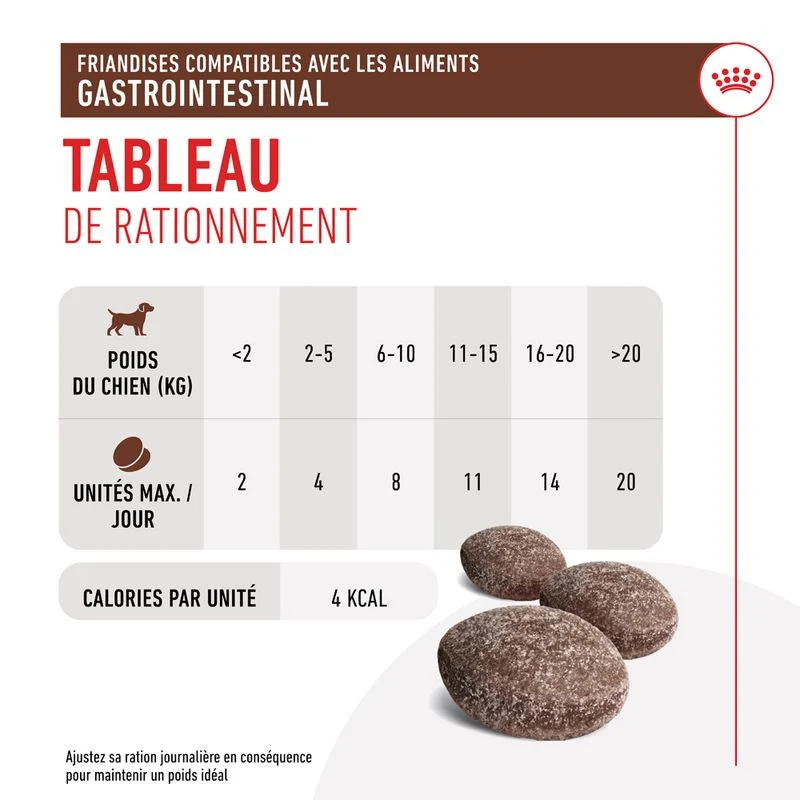 Royal Canin Gastrointestinal Treats chien