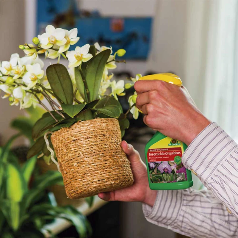 Insecticide naturel pour orchidées Spruzit RTU 250 ml