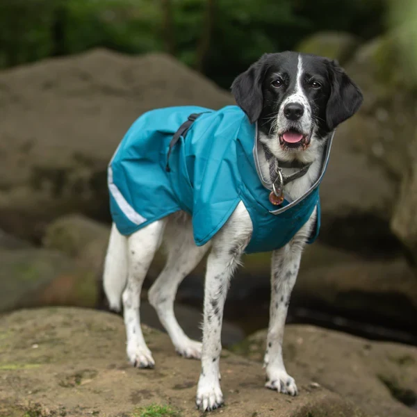 Pomppa Kevyt manteau imperméable pour chien Petrol
