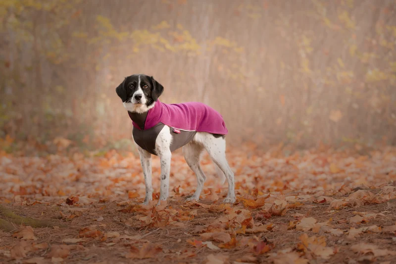Pomppa Jumppa Plum manteau polaire pour chien