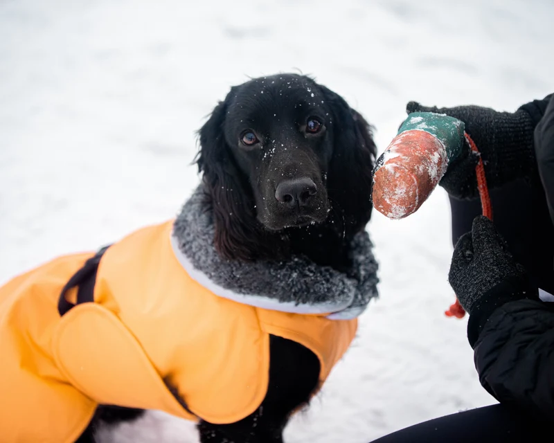Pomppa Toppa manteau imperméable doublé pour chien Mint