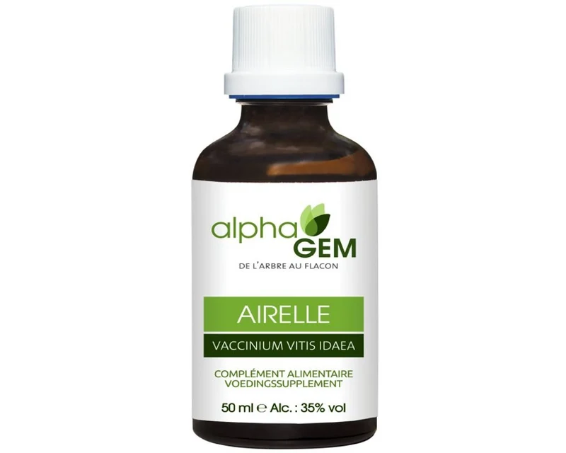 Macérat de Bourgeons d’Airelle Bio – 50 ml — Alphagem