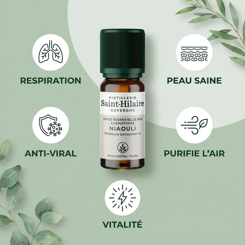 Huile Essentielle de Niaouli bio - 10 ml - Saint Hilaire