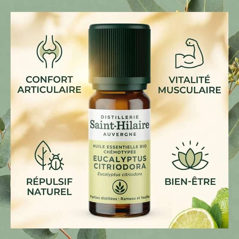Huile Essentielle d'Eucalyptus Citronné Bio - 10 ml - Saint-Hilaire