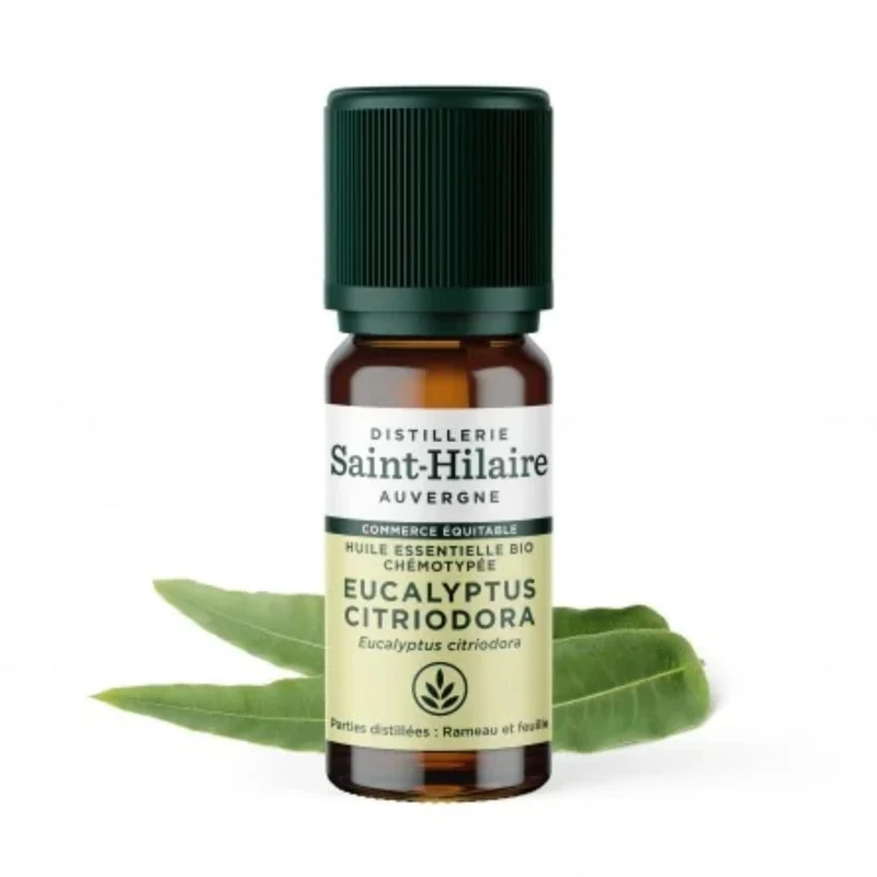 Huile Essentielle d'Eucalyptus Citronné Bio - 10 ml - Saint-Hilaire