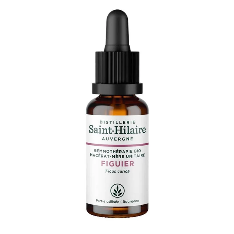 Macérat de Figuier Bio - Saint Hilaire - 30 ml