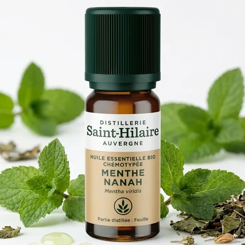 Huile Essentielle de Menthe Nanah Bio - Saint-Hilaire - 10 ml