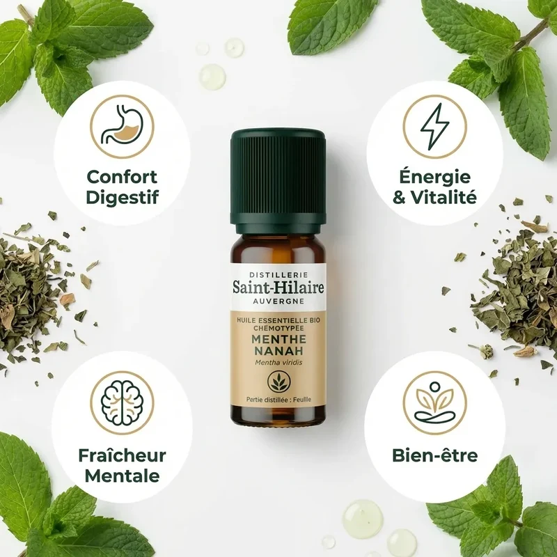 Huile Essentielle de Menthe Nanah Bio - Saint-Hilaire - 10 ml