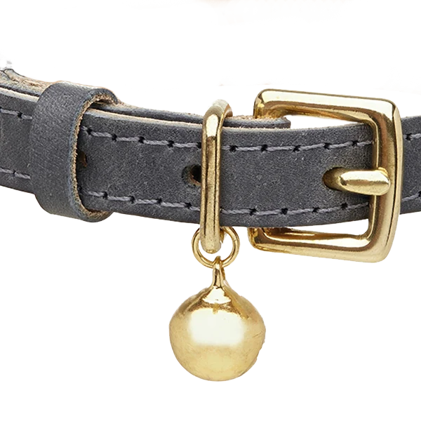 Collier pour chat en cuir gris
