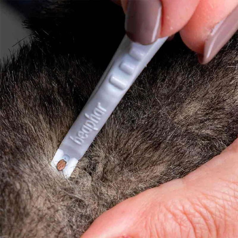 Pince à tiques pour chiens et chats BEAPHAR