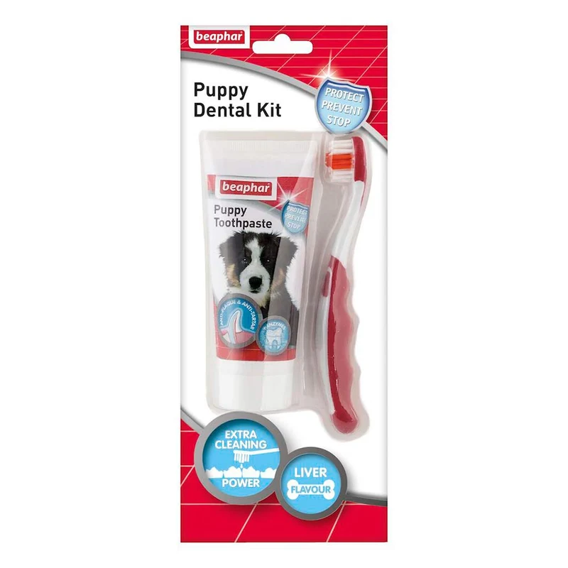 Pack dentifrice + brosse à dents pour chiens BEAPHAR