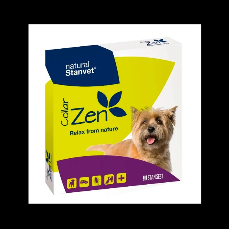 STANGEST Collier Zen pour chiens