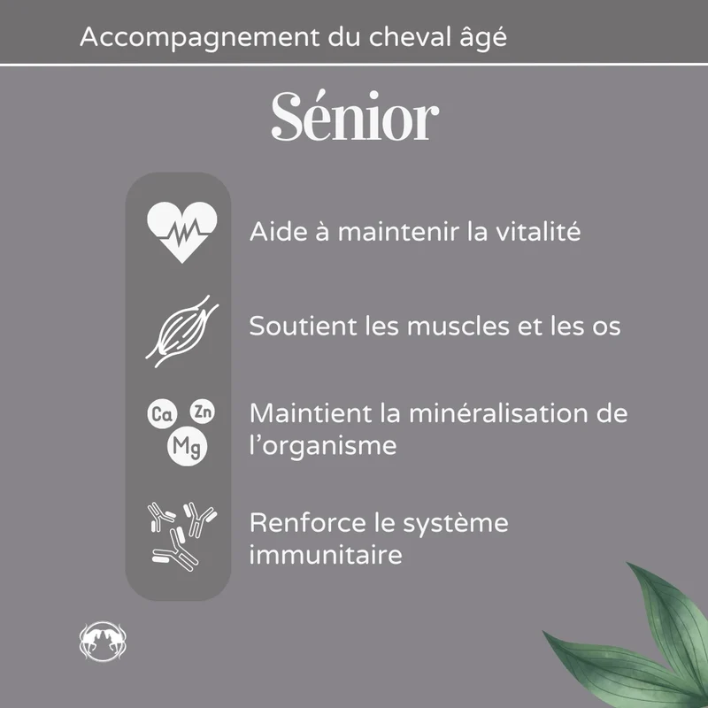 Sénior Cheval - Complément pour chevaux âgés - 1 L - Naturacheval