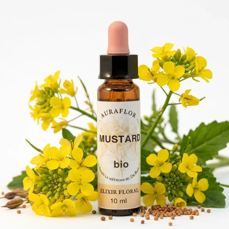 Fleur de Bach Moutarde (Mustard) Bio 10 ml - Dioter