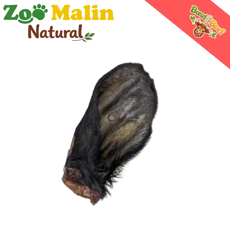 Oreilles de boeuf avec poils