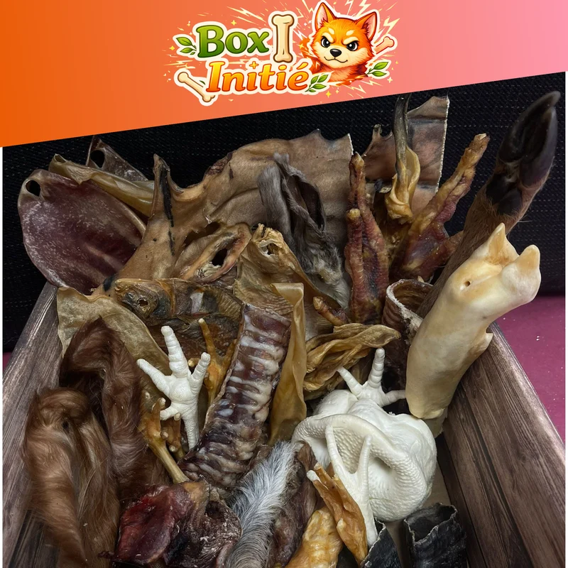 Box initié