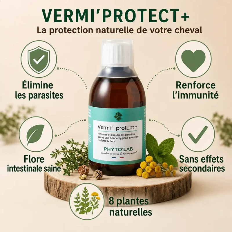 Vermi'Protect+ : Vermifuge Liquide Chien & Chat - 200ml - Phyto'Lab