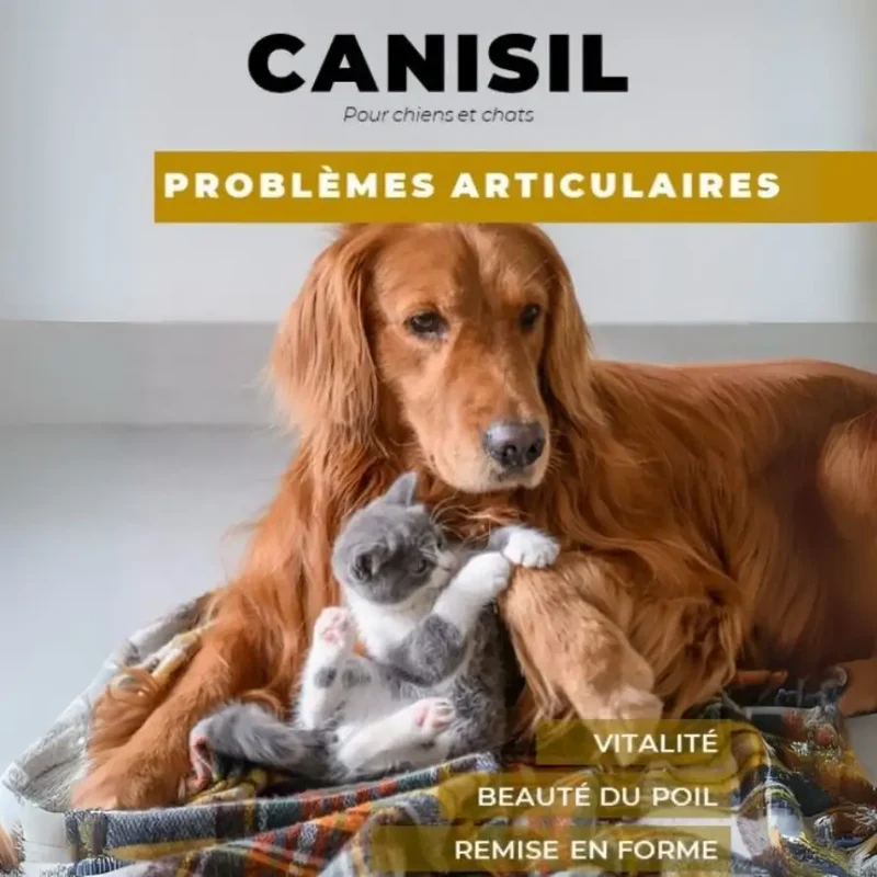 Canisil 1000 comprimés - Anti-inflammatoire Arthrose Chien & Chat - Labo Demeter
