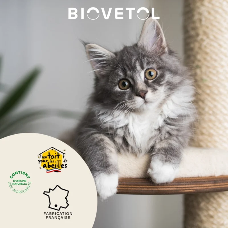 Probiotiques Régul'transit pour Chat - 30 comprimés - Biovetol