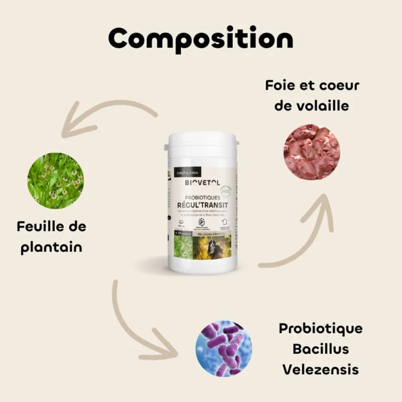 Probiotiques Régul'transit pour Chiot & chien - 20 comprimés - Biovetol