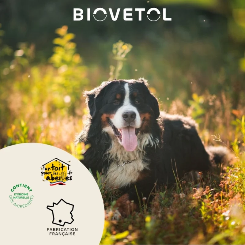 Probiotiques Régul'transit pour Chiot & chien - 20 comprimés - Biovetol