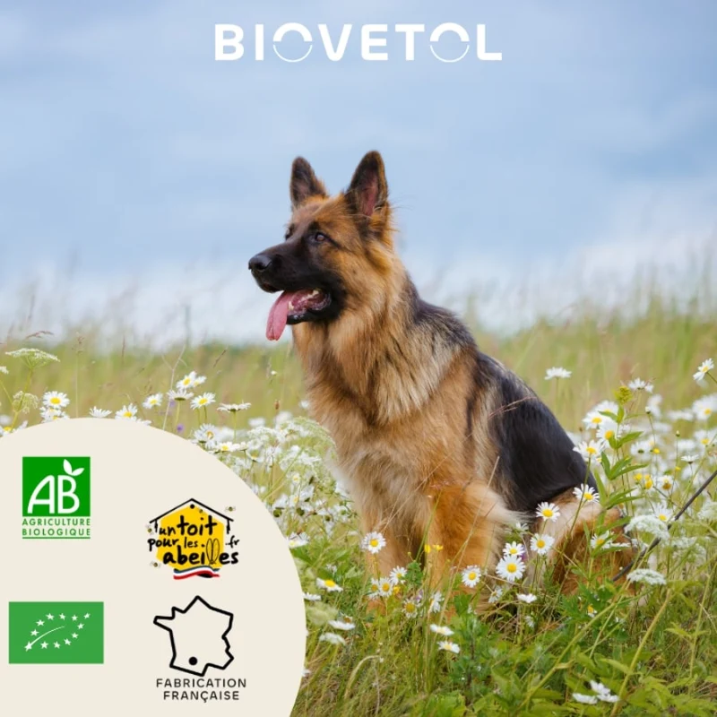Bouchées Alt'Vers Bio contre les vers intestinaux - Grand chien