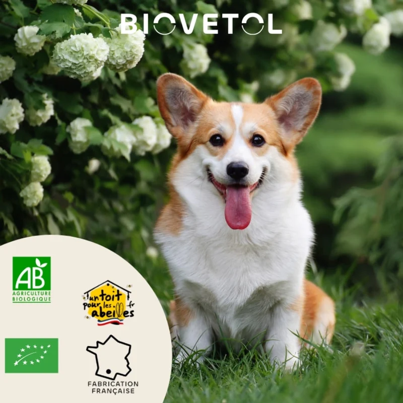 Bouchées Alt'Vers Bio contre les vers intestinaux - Chiot et petit chien Biovetol