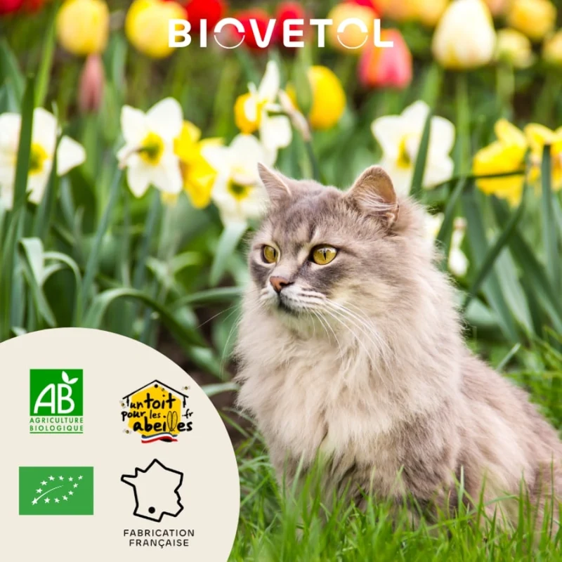 Bouchées Alt'Vers Bio contre les vers intestinaux - Chaton & chat - Biovetol