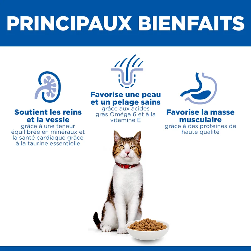 Hill's Science Plan Mature - Croquettes pour Chat Mature au Saumon 10 kg