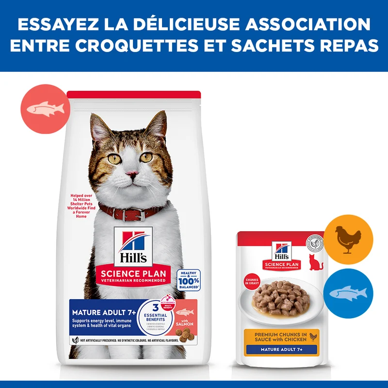 Hill's Science Plan Mature - Croquettes pour Chat Mature au Saumon 10 kg