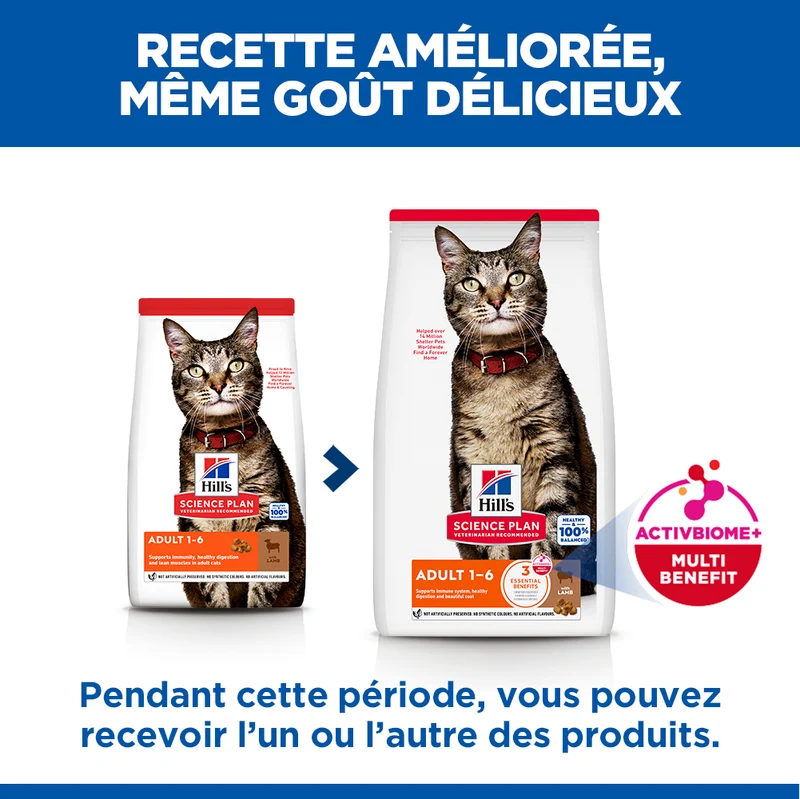 Hill's Science Plan - Croquettes pour Chat Adulte à l'Agneau 10kg