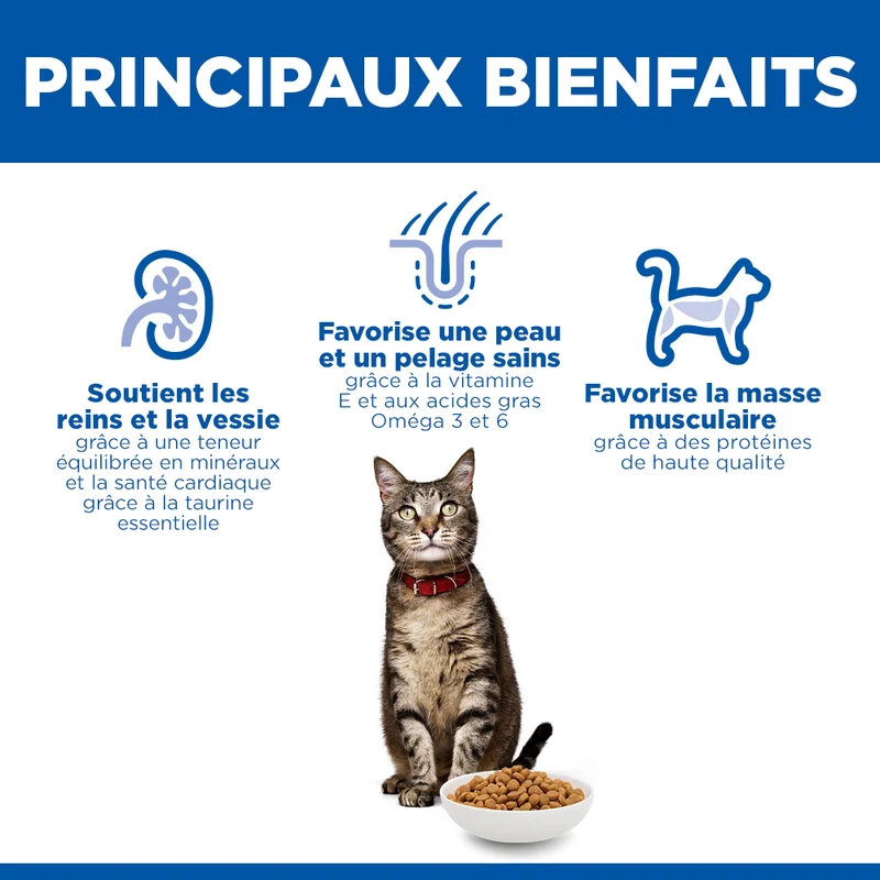 Hill's Science Plan - Croquettes pour Chat Adulte à l'Agneau 10kg