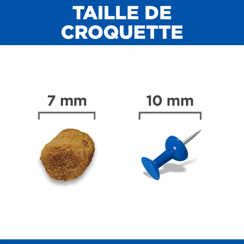 Hill's Science Plan - Croquettes pour Chat Adulte à l'Agneau 10kg