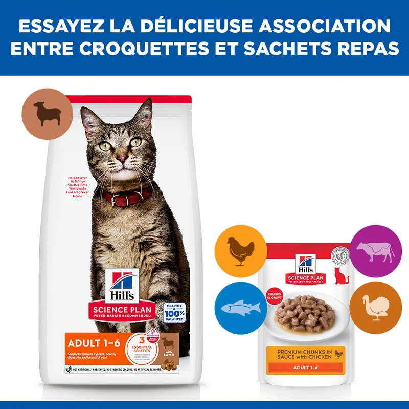 Hill's Science Plan - Croquettes pour Chat Adulte à l'Agneau 10kg