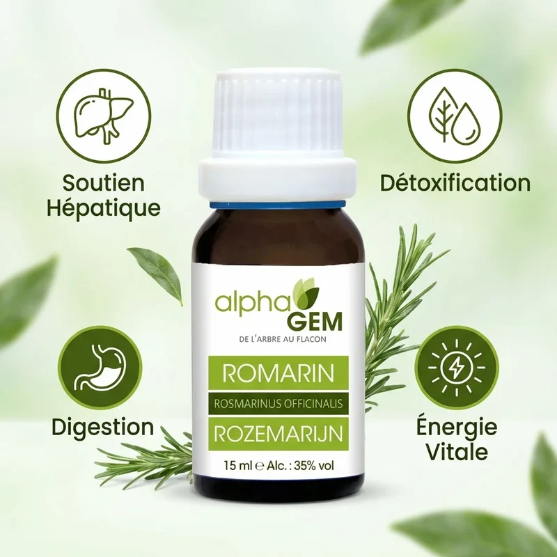 Macérat de Romarin bio - 15 ml - Alphagem